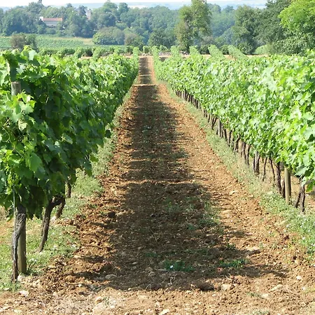 Retreat, Cleaning Included Segonzac (Charente)