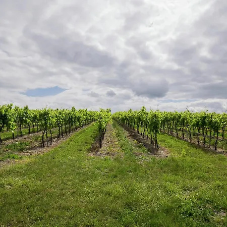 Villa Retreat, Cleaning Included Segonzac (Charente)